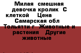 Милая, смешная девочка кролик. С клеткой. › Цена ­ 1 000 - Самарская обл., Тольятти г. Животные и растения » Другие животные   